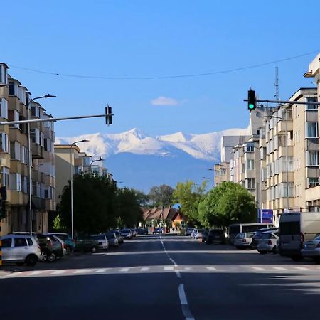 Modern Apartament Făgăraş Buitenkant foto